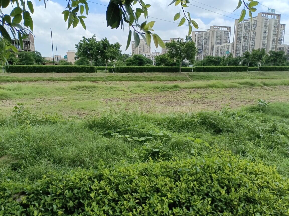 Plot For Sale in Sector 98