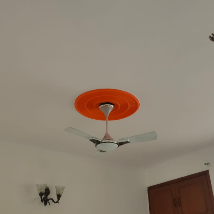 undefined, ashoka-enclave-3 3 Bedroom 200 Sq.Ft. Builder Floor In Subash Nagar Faridabad 8853473