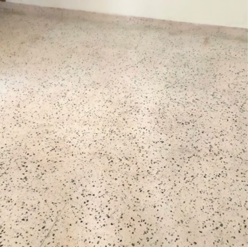 Plot Area in 3 BHK Builder Floor at Ashoka Enclave 3, Subash Nagar – for Rent