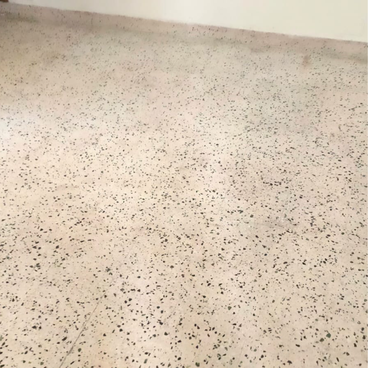 undefined, ashoka-enclave-3 3 Bedroom 200 Sq.Ft. Builder Floor In Subash Nagar Faridabad 8853473