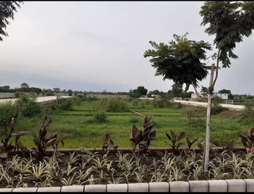 Plot Area in  Plot at Sejbahar – for Sale