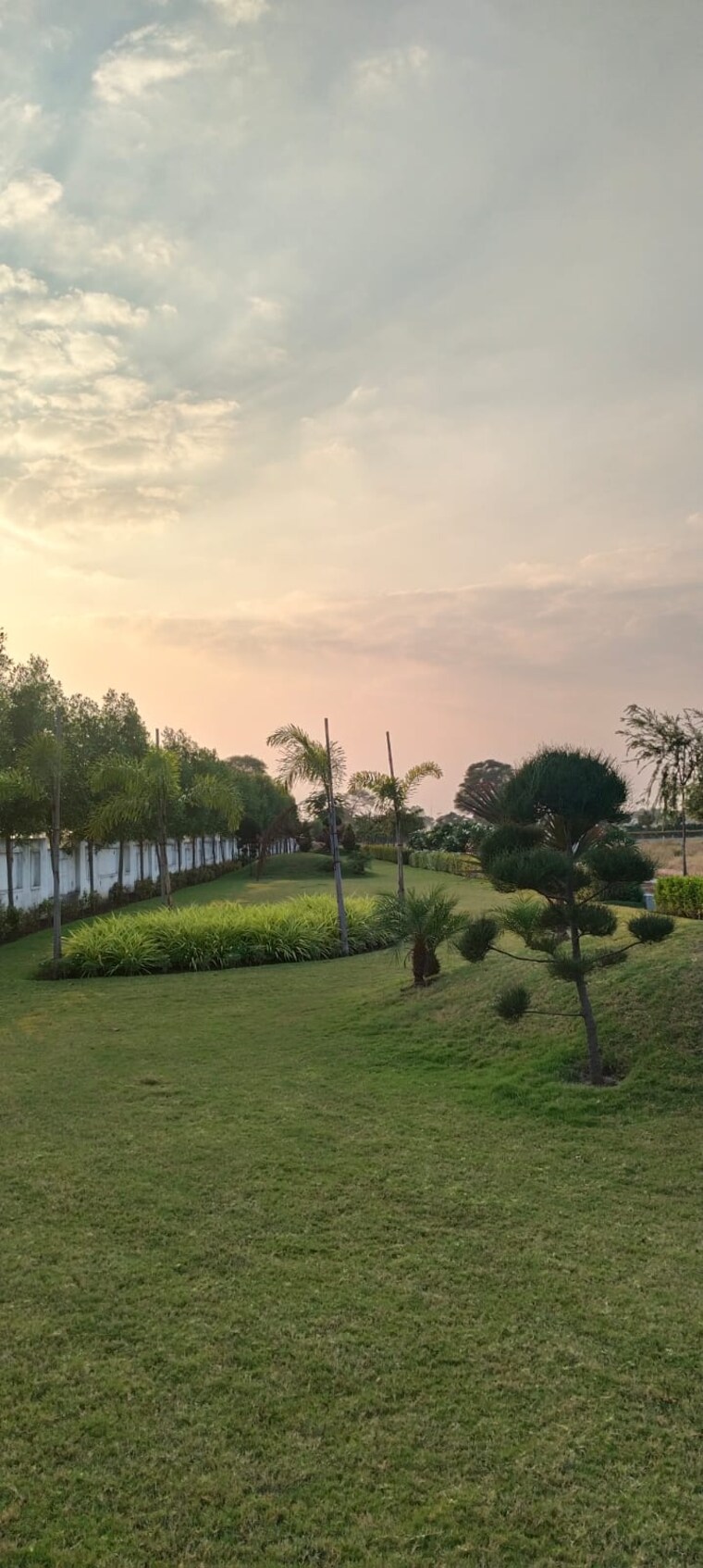 Garden, ab road  1000 Sq.Yd. Plot In Ab Road Indore 8853862