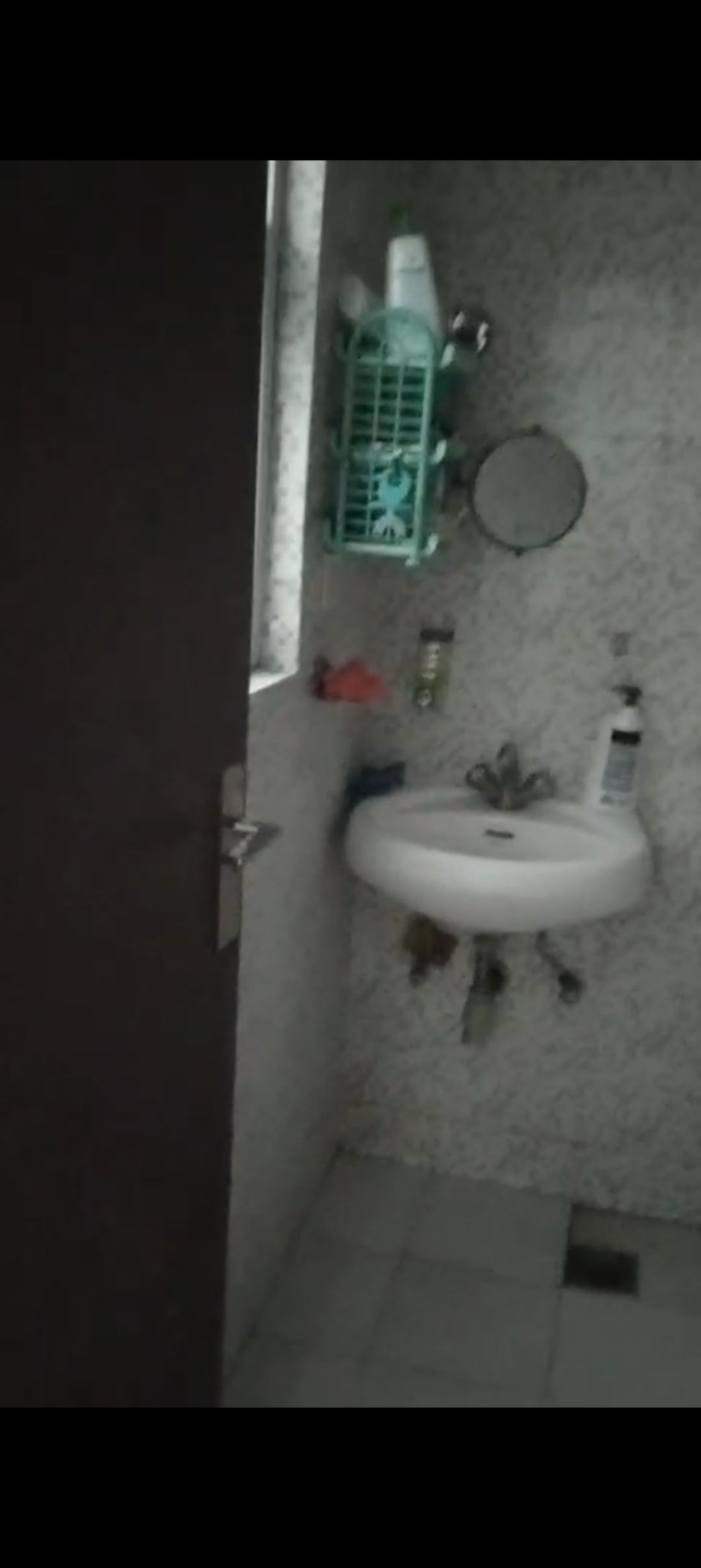 3 BHK 1043 Sq.Ft. Apartment in BPTP Parkland