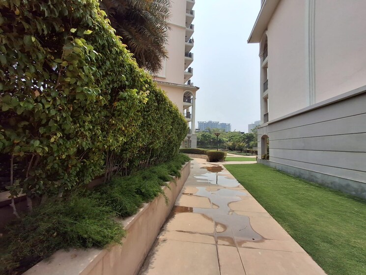 Balcony, dlf-regal-gardens 3 Bedroom 1744 Sq.Ft. Apartment In Sector 90 Gurgaon 7636477