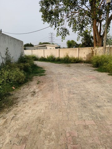 Plot Area in  Plot at Chi V Greater Noida – for Sale