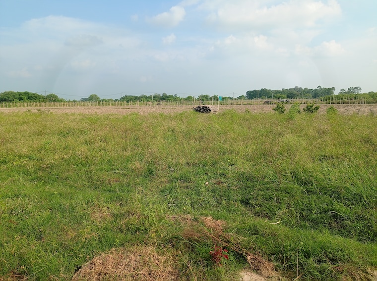 Exterior View, sonarpur  3630 Sq.Ft. Plot In Sonarpur Kolkata 8854538