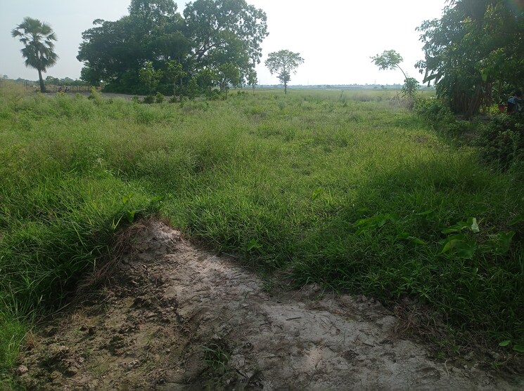 undefined, kalikapur rajpur sonarpur  1480 Sq.Ft. Plot In Kalikapur Rajpur Sonarpur Kolkata 8854578