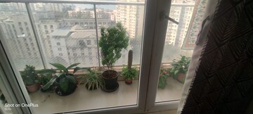 Balcony in 2 BHK Apartment at Panchvati B, Powai – for Rent