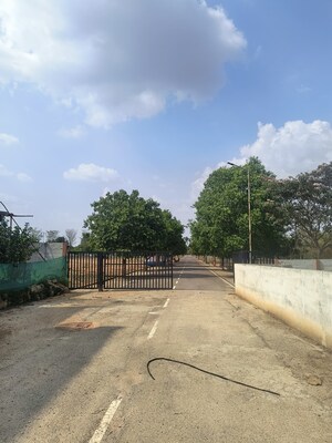 Plot Area in  Plot at Hoskote – for Sale