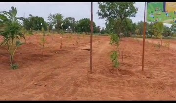 Plot Area in  Plot at Shankarpalli – for Sale