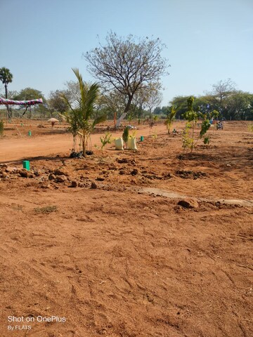 Plot Area in  Plot at Shankarpalli – for Sale