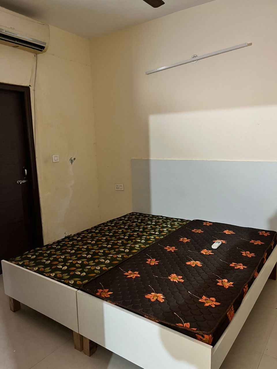1 BHK Apartment For Rent in Sb Builder