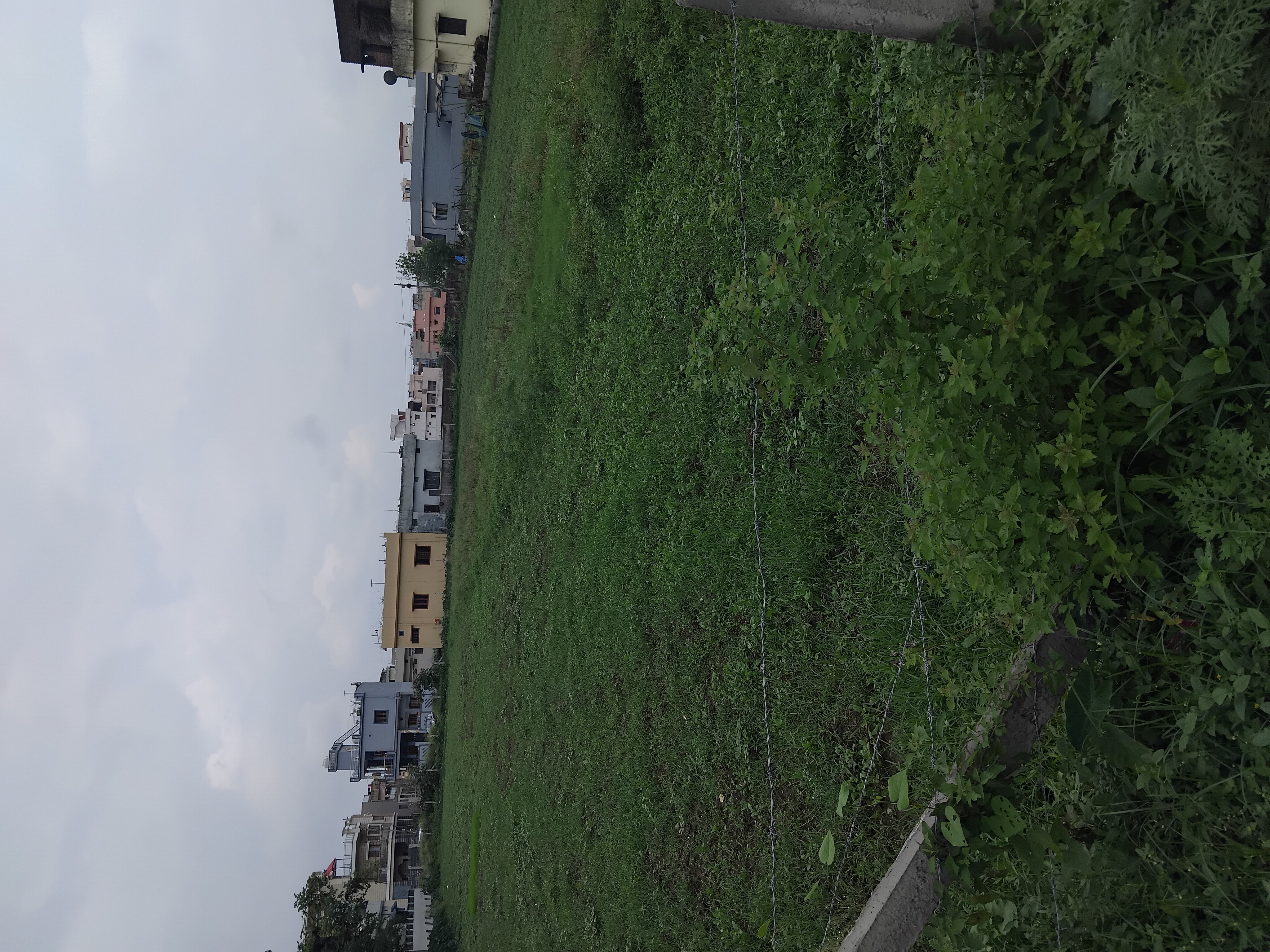 Plot For Sale in Seema Dwar