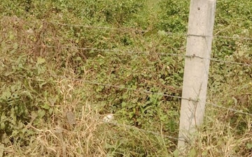 Plot For Sale in Aundh