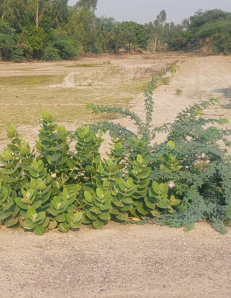 undefined, raebareli road  1550 Sq.Ft. Plot In Raebareli Road Lucknow 8855361