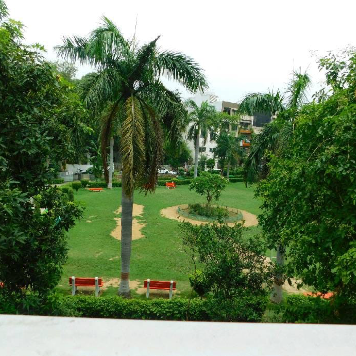 3 BHK Builder Floor For Rent in BU SFS Flats