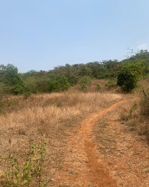  Plot For Sale in Mulshi