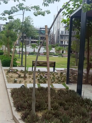 3 BHK Builder Floor – Exterior View View at Smart World Orchard, Sector 61 - for Sale