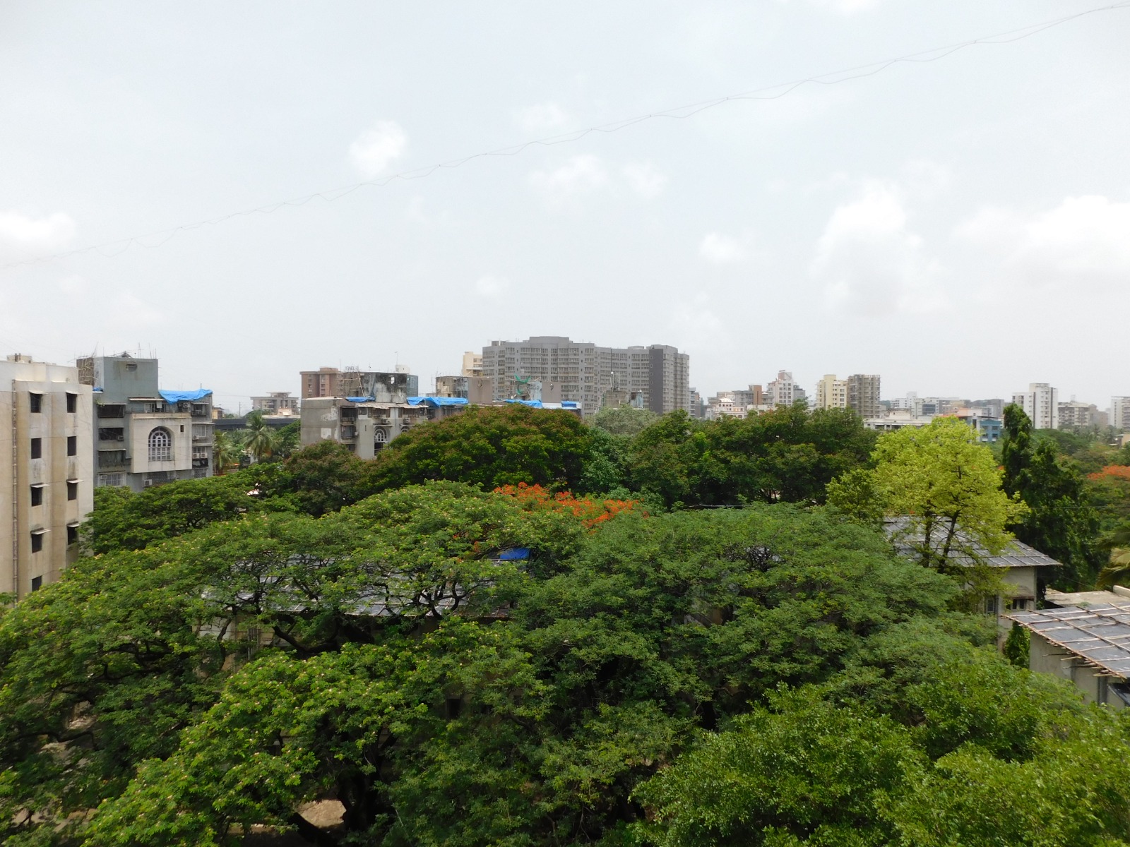 3 BHK Apartment For Rent in Iris Cooperative Housing 