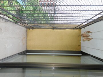 Staircase in 3 BHK Apartment at Chembur – for Rent