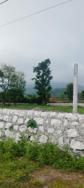 Plot Area in  Plot at Dunga – for Sale