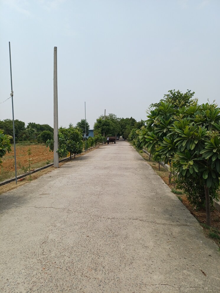 Exterior View, jewar  228 Sq.Yd. Plot In Jewar Greater Noida 8856275