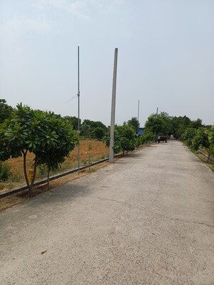  Plot For Sale in Jewar