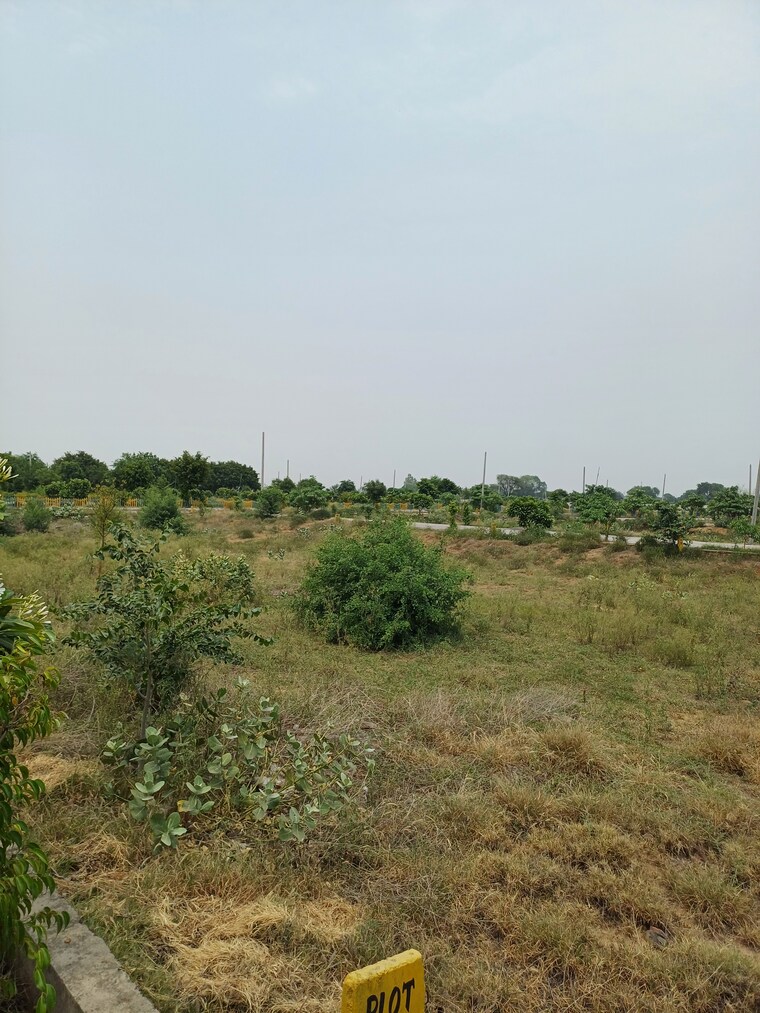 Garden, jewar  228 Sq.Yd. Plot In Jewar Greater Noida 8856275