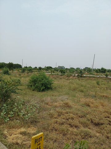  Plot – Garden View at Jewar - for Sale