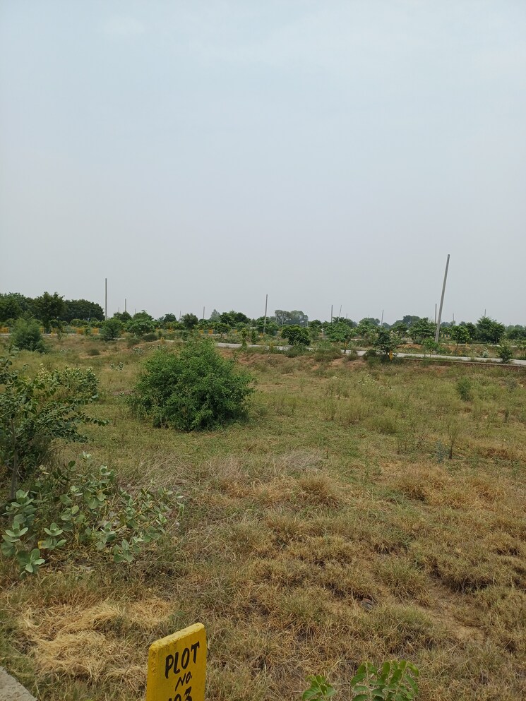 Garden, jewar  228 Sq.Yd. Plot In Jewar Greater Noida 8856275