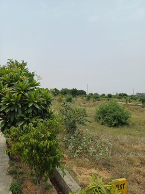  Plot For Sale in Jewar