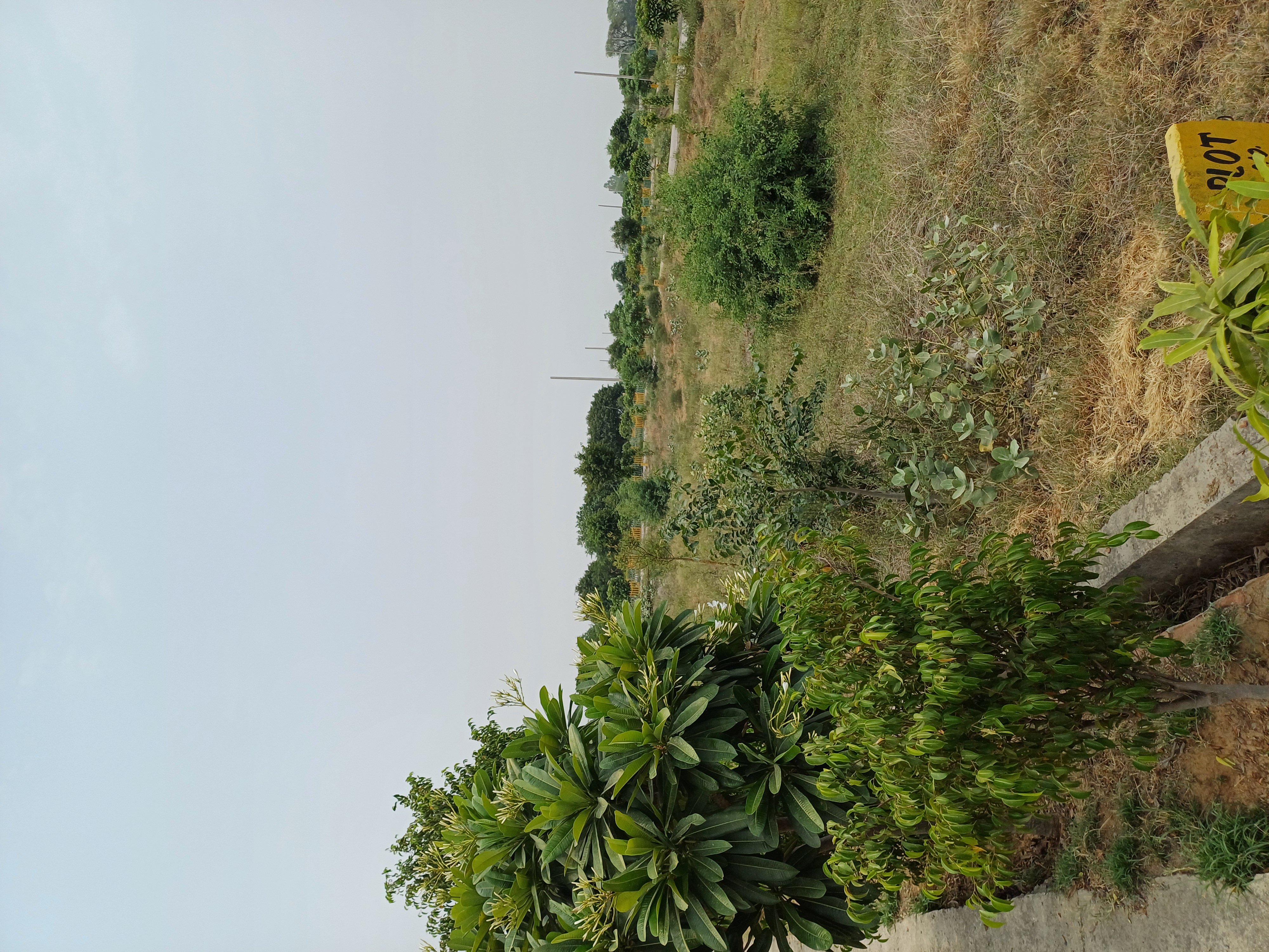 Plot For Sale in Harit City 