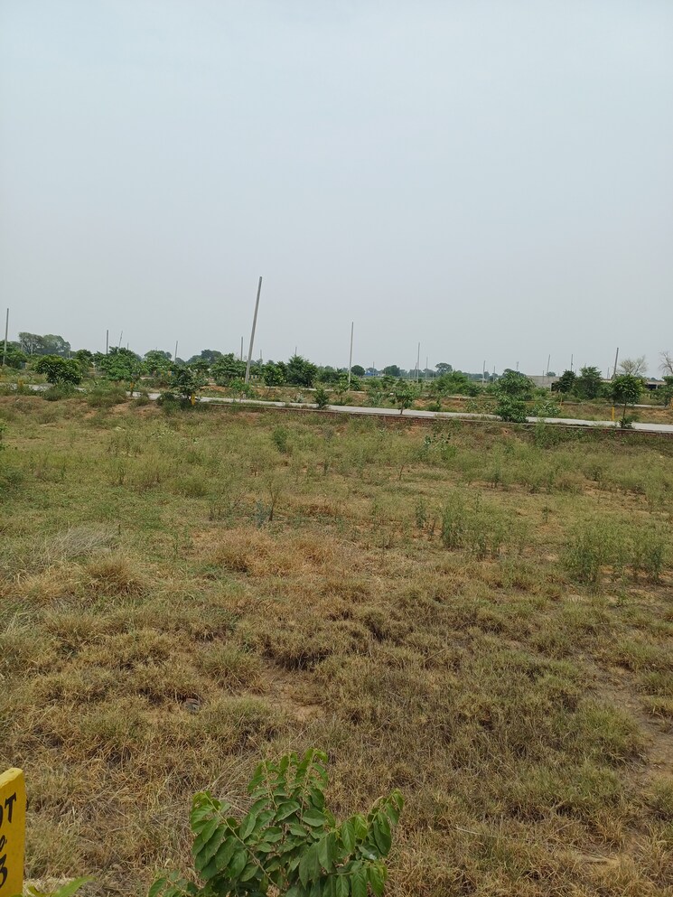 Garden, jewar  229 Sq.Yd. Plot In Jewar Greater Noida 8856407