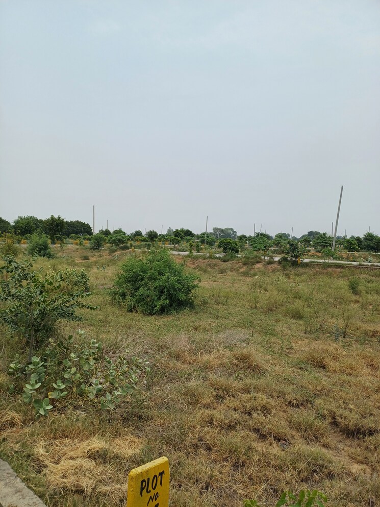Garden, jewar  229 Sq.Yd. Plot In Jewar Greater Noida 8856407