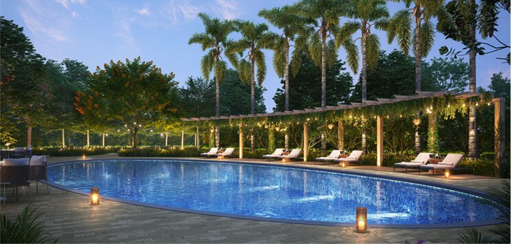 Swimming Pool, lodha-panache 3 Bedroom 1121 Sq.Ft. Apartment In Hinjewadi Pune 8856691
