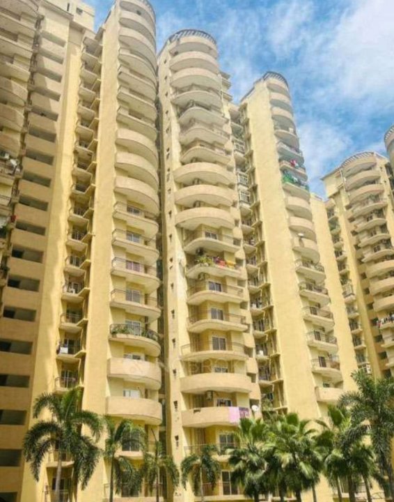 3 BHK + Servant Room Apartment For Sale in Ace Divino