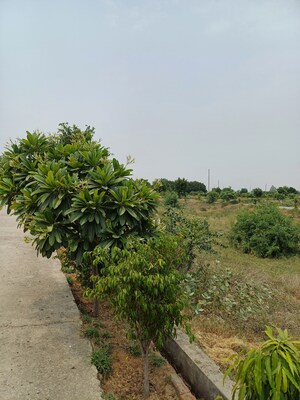  Plot – Garden View at Jewar - for Sale