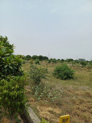  Plot – Garden View at Jewar - for Sale