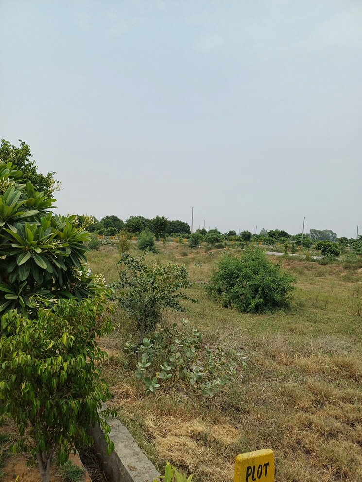 Garden, jewar  230 Sq.Yd. Plot In Jewar Greater Noida 8856747