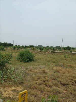  Plot For Sale in Jewar