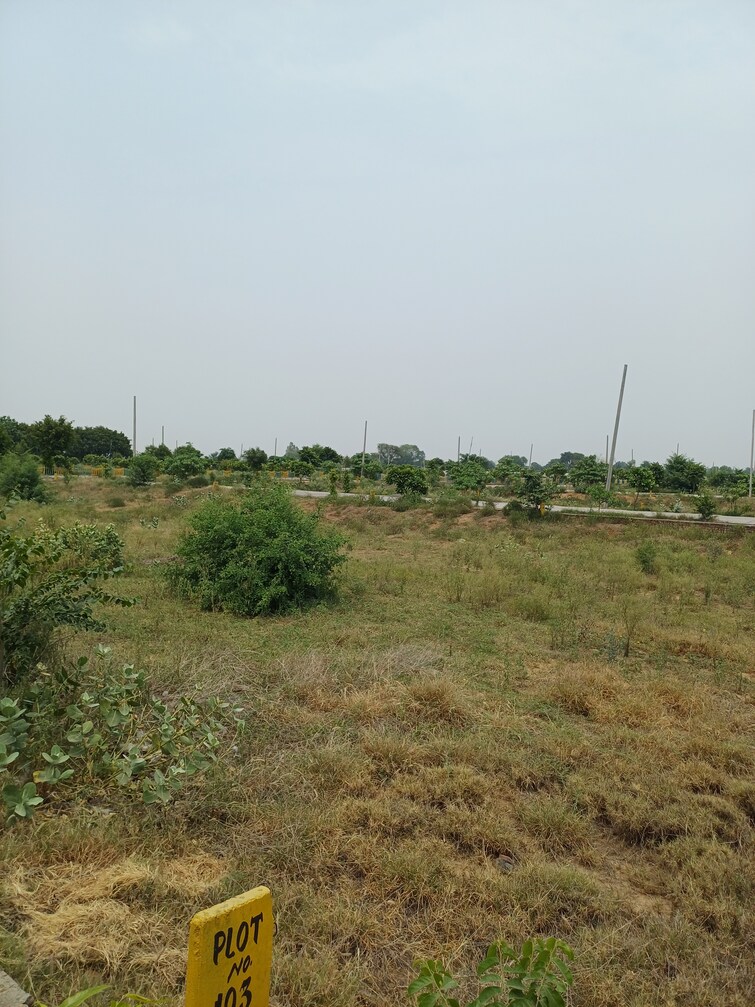 Cover Image, jewar  230 Sq.Yd. Plot In Jewar Greater Noida 8856747