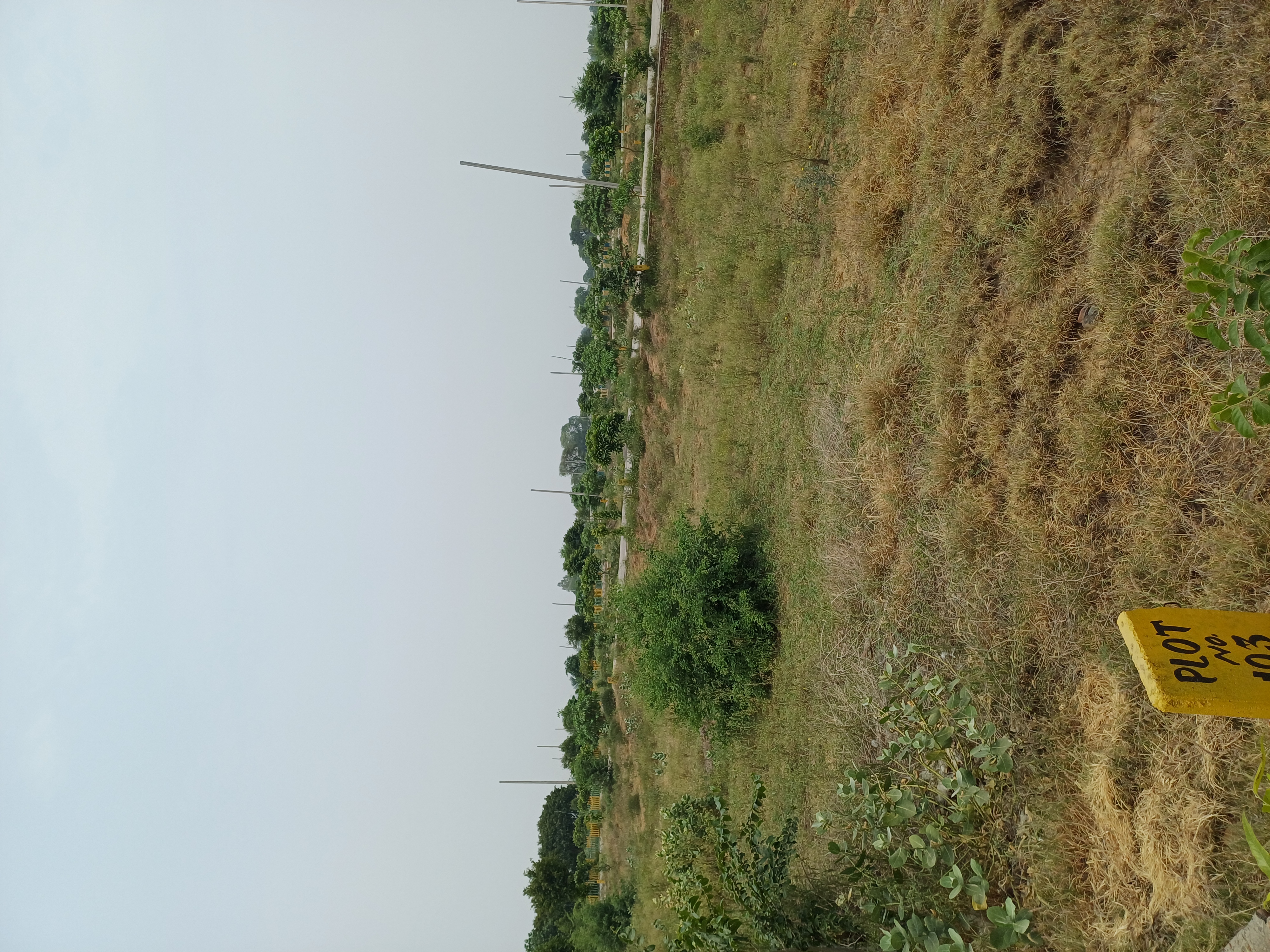 Plot For Sale in Harit City 