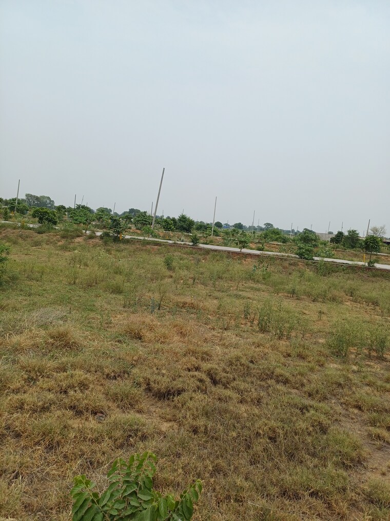 Garden, jewar  230 Sq.Yd. Plot In Jewar Greater Noida 8856747