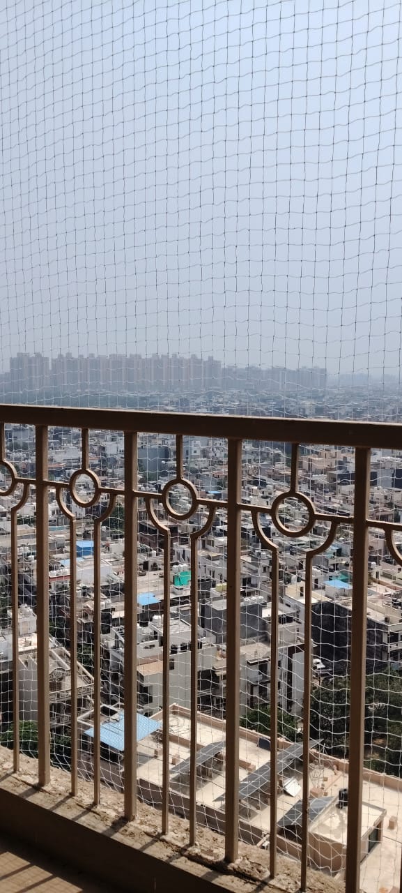 2 BHK Apartment For Rent in Saya Gold Avenue