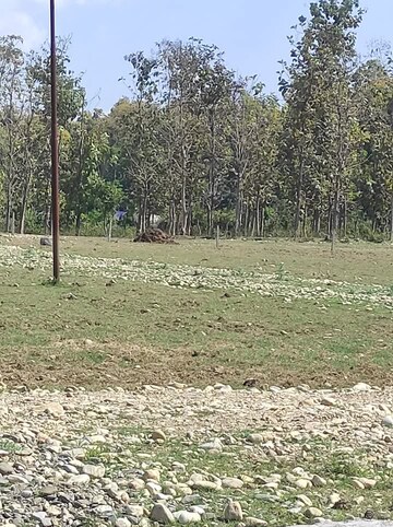 Plot Area in  Plot at Kalyanpur – for Sale