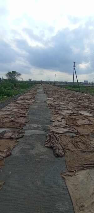 Plot Area in  Industrial Plot at Bhandara Road – for Sale