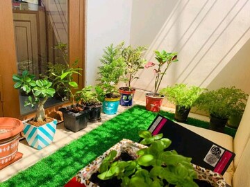 3 BHK Apartment – Garden View at Indiranagar - for Rent