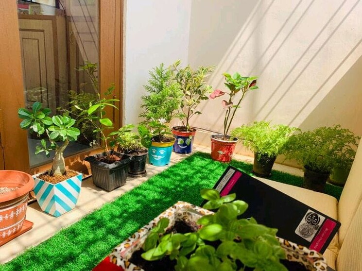 Garden, indiranagar 3 Bedroom 1650 Sq.Ft. Apartment In Indiranagar Bangalore 8857812