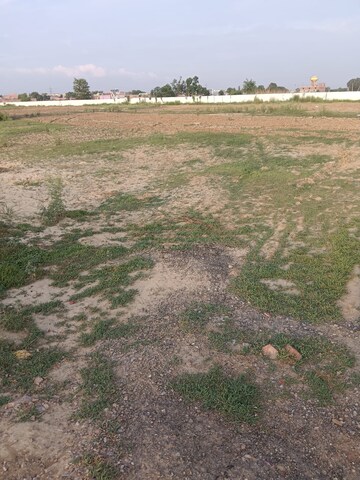 Plot Area in  Plot at Vijay Nagar – for Sale