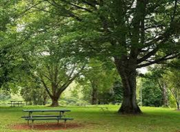 Garden, kamal-park-bhandup 1 Bedroom 455 Sq.Ft. Apartment In Bhandup West Mumbai 8858433